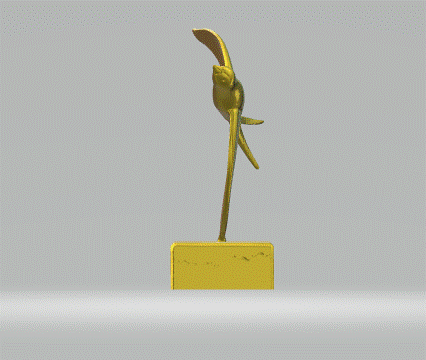 Premio Rondinella d'Oro ® Premio Rondinella d'Oro ®